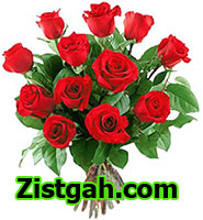 تست های کنکور سراسری 91