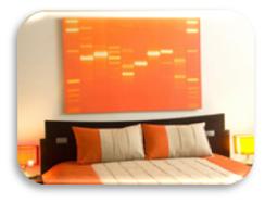 ورود به دنیای هنر دی ان آ