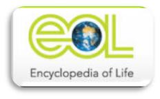 فرهنگ نامه حیات