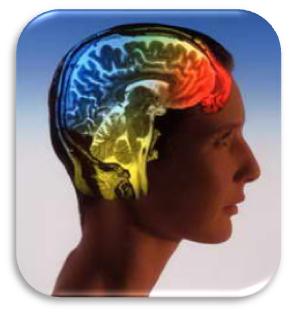 بازده مغز خود را افزایش دهید.