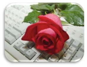 زیست و دیگر هیچ!