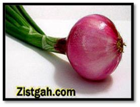 onion+1.jpg